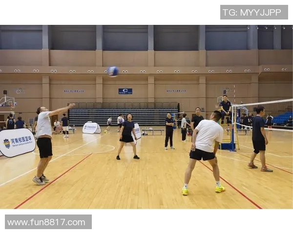 上海排球队的崛起与发展探秘展现团队力量与精神风貌