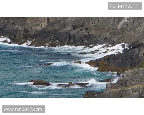 李秀英的网球人生深度对话探秘她的奋斗与梦想之路